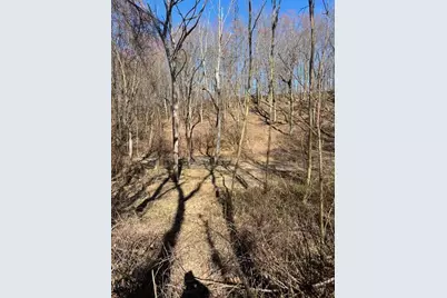 Parcel A W County Line Road, Greenville, MI 48838 - Photo 11