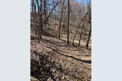 Parcel A W County Line Road, Greenville, MI 48838 - Photo 5