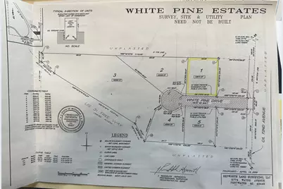 V/L-1 White Pine Drive, Hart, MI 49420 - Photo 3