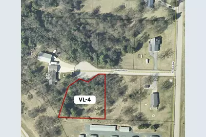 V/L-4 White Pine Drive, Hart, MI 49420 - Photo 1