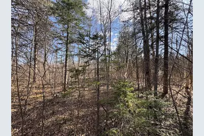 2254 E-M30, Alger, MI 48610 - Photo 31