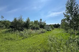 2254 E-M30, Alger, MI 48610 - Photo 55