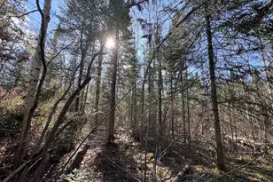 2254 E-M30, Alger, MI 48610 - Photo 7