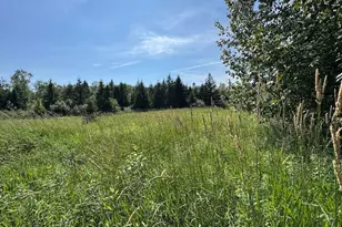 2254 E-M30, Alger, MI 48610 - Photo 61