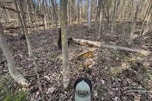 2254 E-M30, Alger, MI 48610 - Photo 33