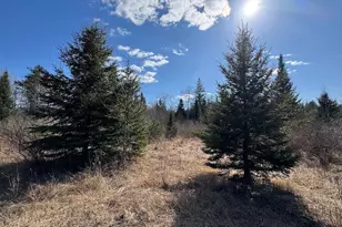 2254 E-M30, Alger, MI 48610 - Photo 27