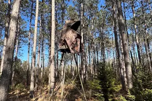 2254 E-M30, Alger, MI 48610 - Photo 25