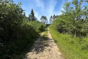 2254 E-M30, Alger, MI 48610 - Photo 9