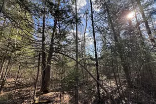 2254 E-M30, Alger, MI 48610 - Photo 41