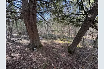 2254 E-M30, Alger, MI 48610 - Photo 39