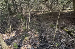 2254 E-M30, Alger, MI 48610 - Photo 37