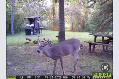 2254 E-M30, Alger, MI 48610 - Photo 77