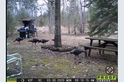 2254 E-M30, Alger, MI 48610 - Photo 79