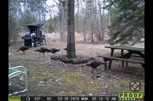 2254 E-M30, Alger, MI 48610 - Photo 79