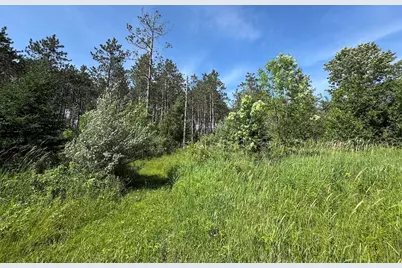 2254 E-M30, Alger, MI 48610 - Photo 59