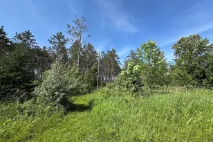 2254 E-M30, Alger, MI 48610 - Photo 59