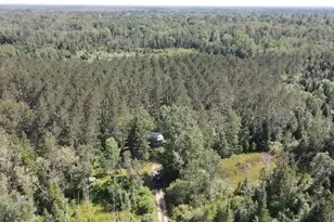 2254 E-M30, Alger, MI 48610 - Photo 17