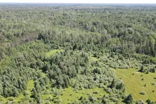 2254 E-M30, Alger, MI 48610 - Photo 23