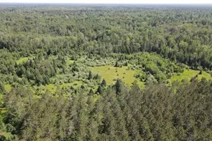 2254 E-M30, Alger, MI 48610 - Photo 21