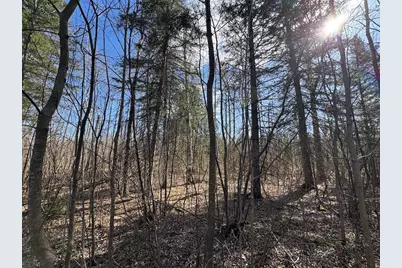 2254 E-M30, Alger, MI 48610 - Photo 29