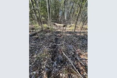 2254 E-M30, Alger, MI 48610 - Photo 43