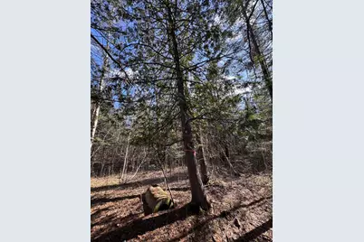 2254 E-M30, Alger, MI 48610 - Photo 35