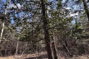 2254 E-M30, Alger, MI 48610 - Photo 35