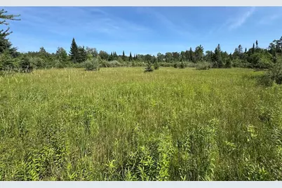 2254 E-M30, Alger, MI 48610 - Photo 57