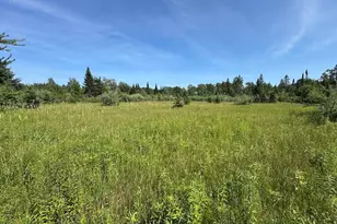 2254 E-M30, Alger, MI 48610 - Photo 57