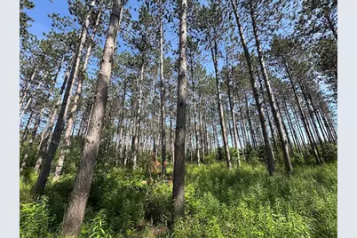 2254 E-M30, Alger, MI 48610 - Photo 53