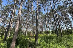 2254 E-M30, Alger, MI 48610 - Photo 53