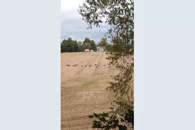 00000 Cr 673, Lawrence, MI 49064 - Photo 7