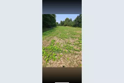 00000 Cr 673, Lawrence, MI 49064 - Photo 17