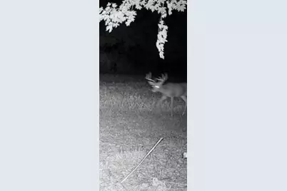 00000 Cr 673, Lawrence, MI 49064 - Photo 9