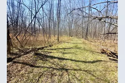 17639 N 20th Avenue, Marion, MI 49665 - Photo 11