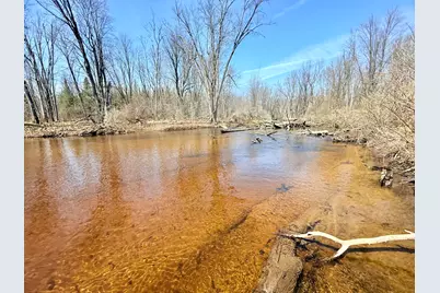 17639 N 20th Avenue, Marion, MI 49665 - Photo 3