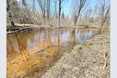 17639 N 20th Avenue, Marion, MI 49665 - Photo 5