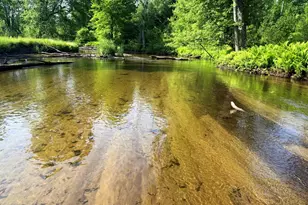 17639 N 20th Ave, Marion, MI 49665 - Photo 1