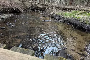 264 30th Ave, Sears, MI 49679 - Photo 27