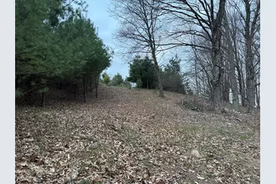 264 30th Avenue, Sears, MI 49679 - Photo 11