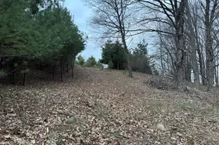 264 30th Ave, Sears, MI 49679 - Photo 11