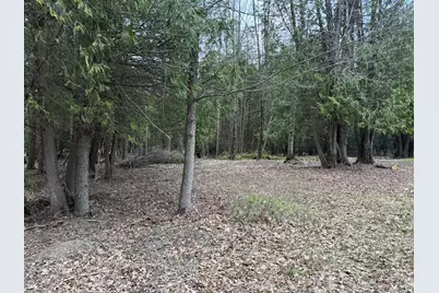 264 30th Avenue, Sears, MI 49679 - Photo 15