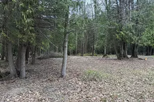 264 30th Ave, Sears, MI 49679 - Photo 15