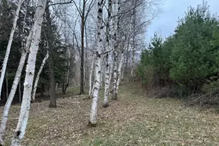 264 30th Ave, Sears, MI 49679 - Photo 19