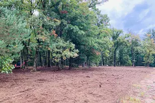 V-Land S Eagle Ln, Newaygo, MI 49337 - Photo 1