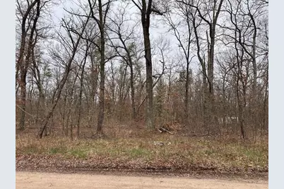 V/L W Lakewood Grove Drive, Baldwin, MI 49304 - Photo 1