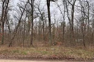 V/L W Lakewood Grove Dr, Baldwin, MI 49304 - Photo 1