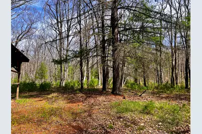 13460 Baldwin Drive, Bitely, MI 49309 - Photo 5