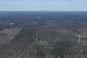 V/L Free Soil, Free Soil, MI 49411 - Photo 7