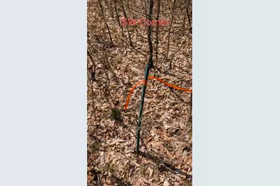 V/L Free Soil, Free Soil, MI 49411 - Photo 11